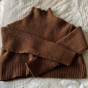 Elodie Rich Brown Turtleneck Crop Sweater
